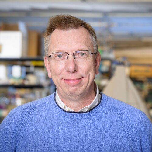Profile picture for Wilfred A. van der Donk